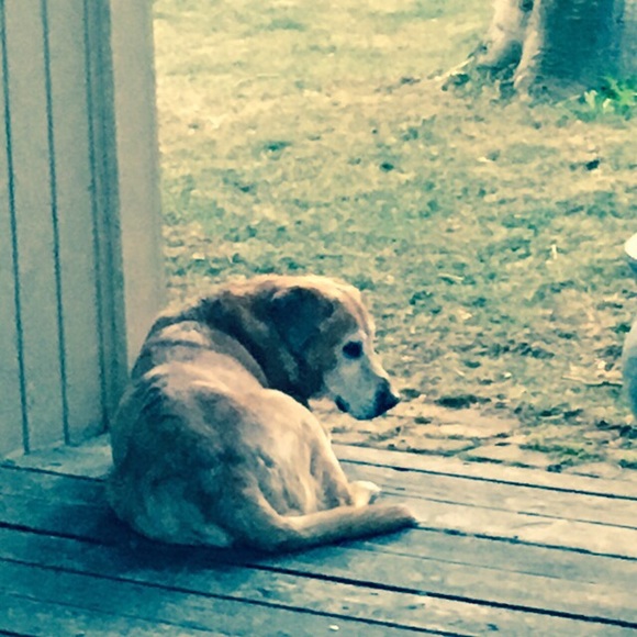 Meet your Posher, Michelle - Picture 2 of 8